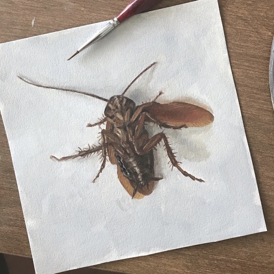 Cockroach painting, wing extended